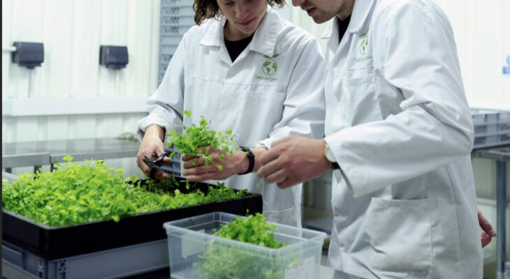 Aquaponics AI creates extra sustainable agriculture programs for farmers