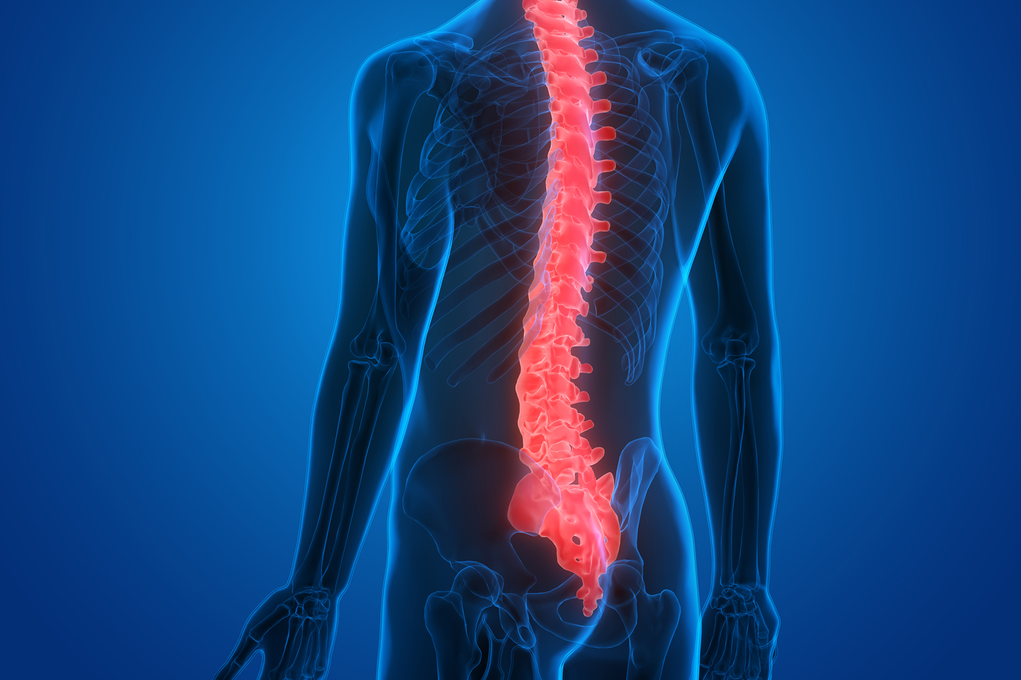 Spinal Wire Harm Remedy and Rehabilitation in america