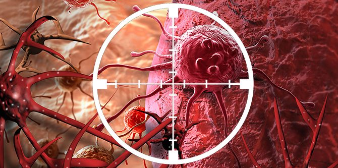 Strolling velocity predicts medical outcomes in older adults with blood cancers