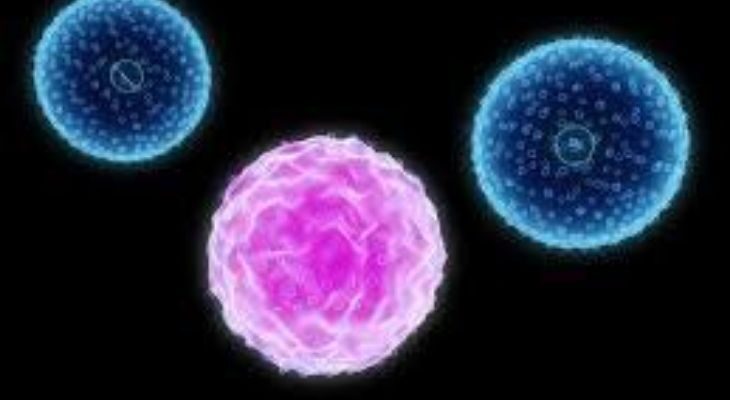 Acute Lymphocytic Leukemia (ALL) Treatment